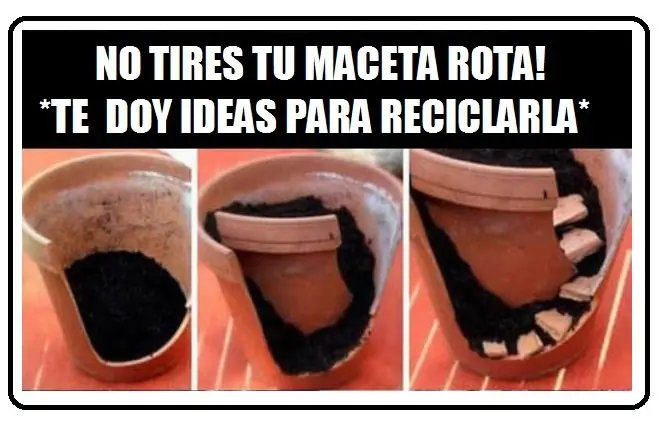 maceta