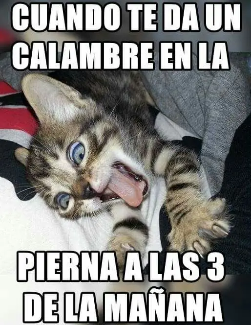 funny