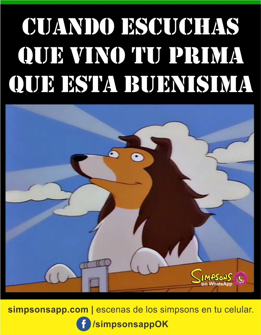 memes