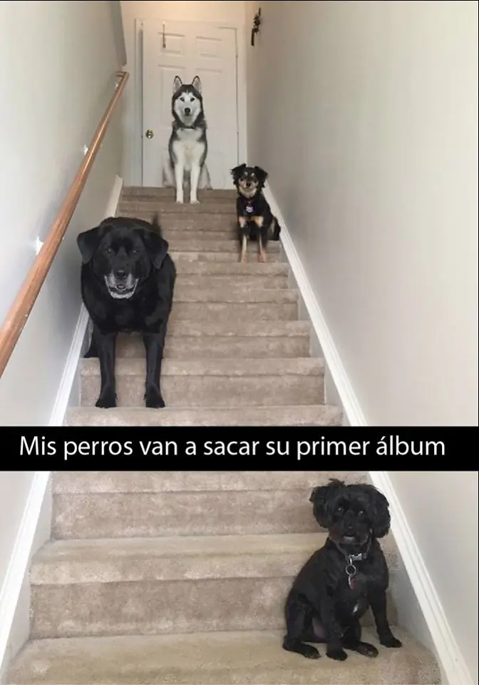 humor