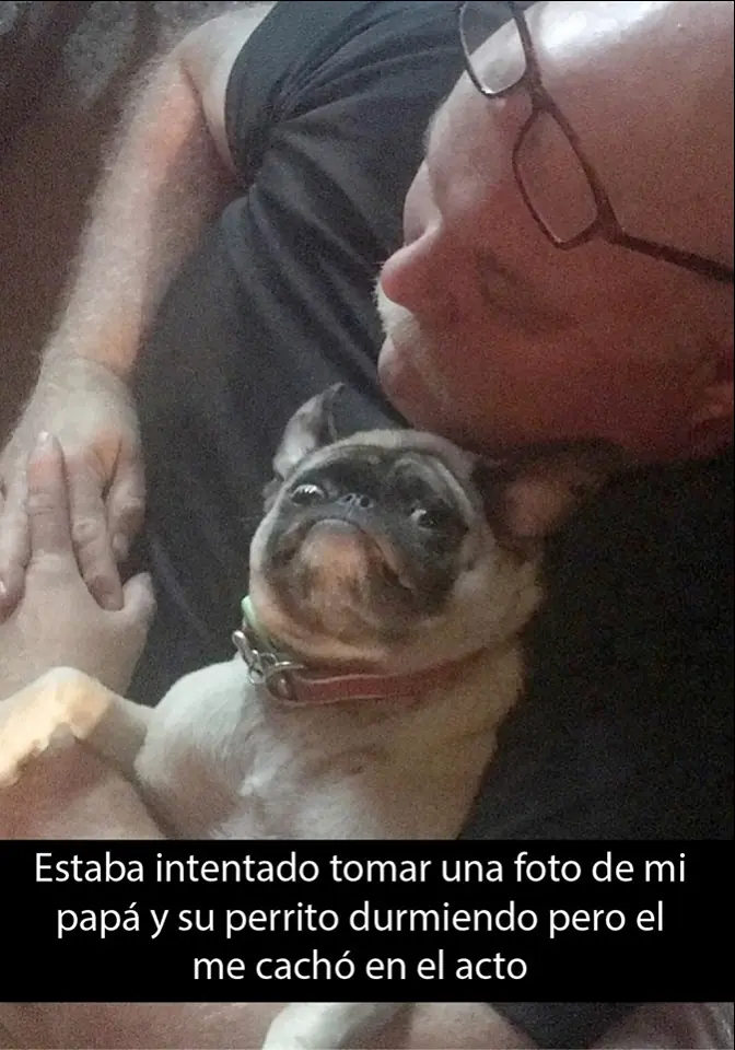 humor