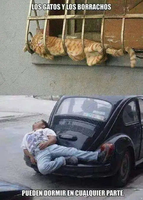 imagenes graciosas