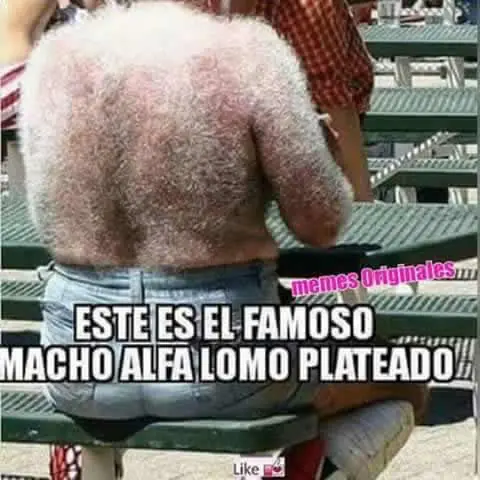 Humor de sábado 11/06/2016