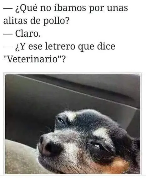 memes