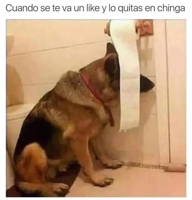 taringa