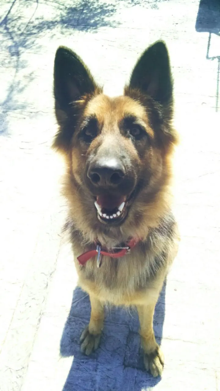madera madera