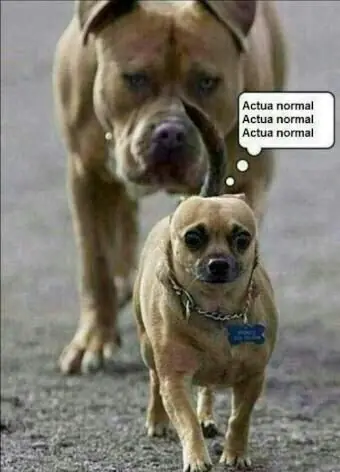 imagenes graciosas