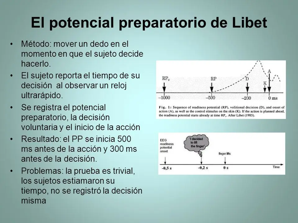 El libre albedrío de Libet
