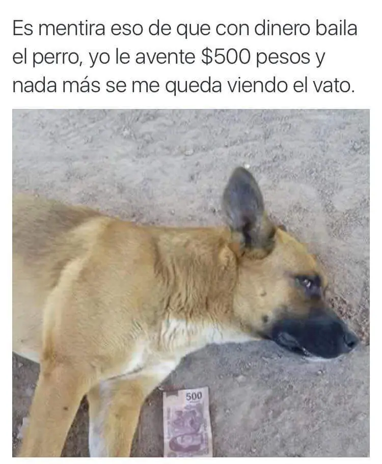 imagenes