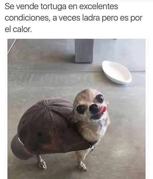 Entra que te saco una sonrisa en esta tarde (parte 3)