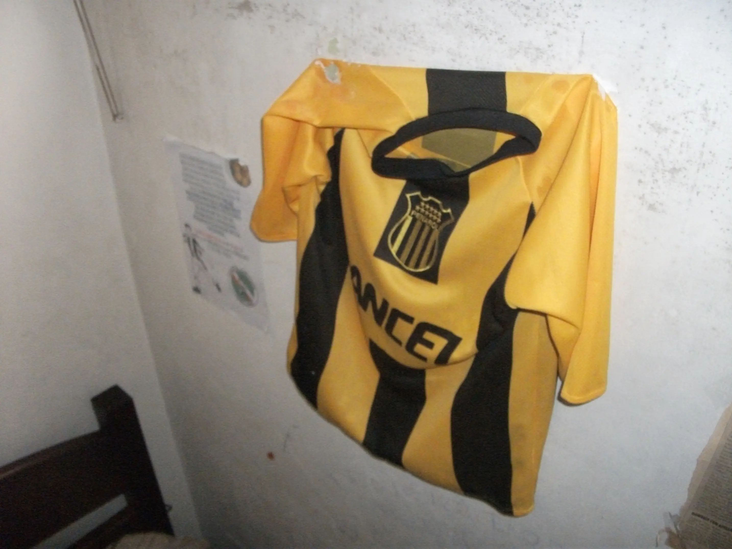 nuevas imagenes