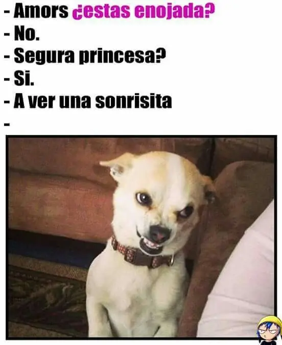 humor