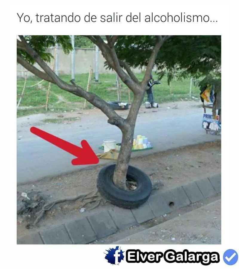 imagenes