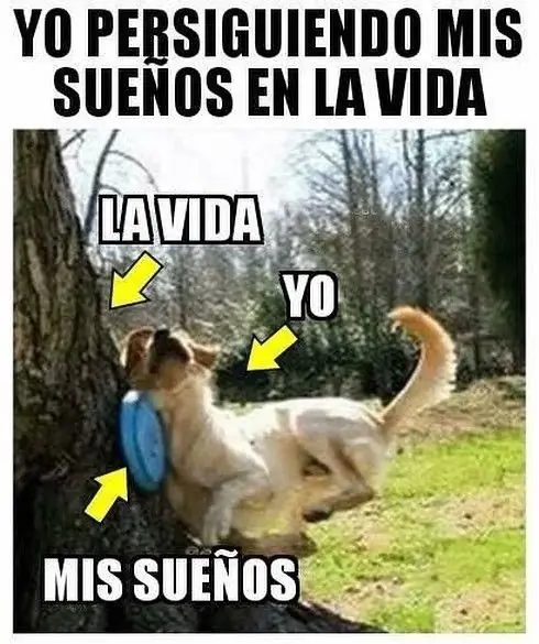 funny