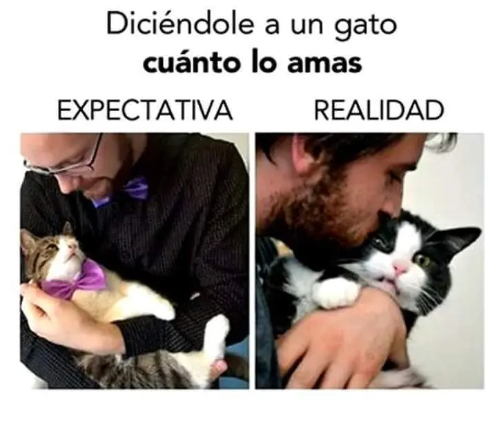 humor