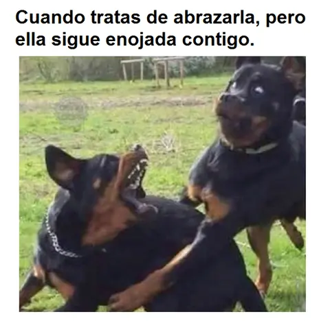humor para desvelados