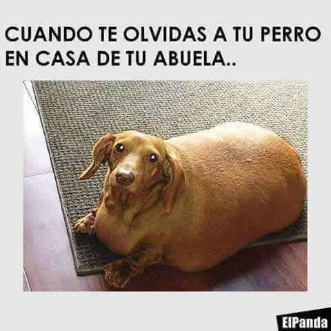 imagenes graciosas