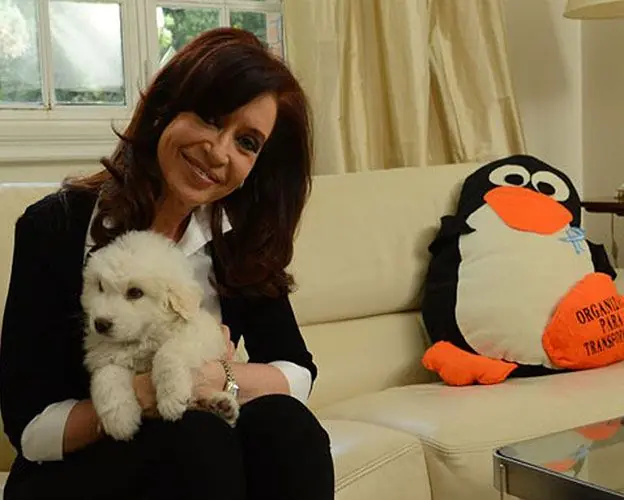 presidenta presidenta