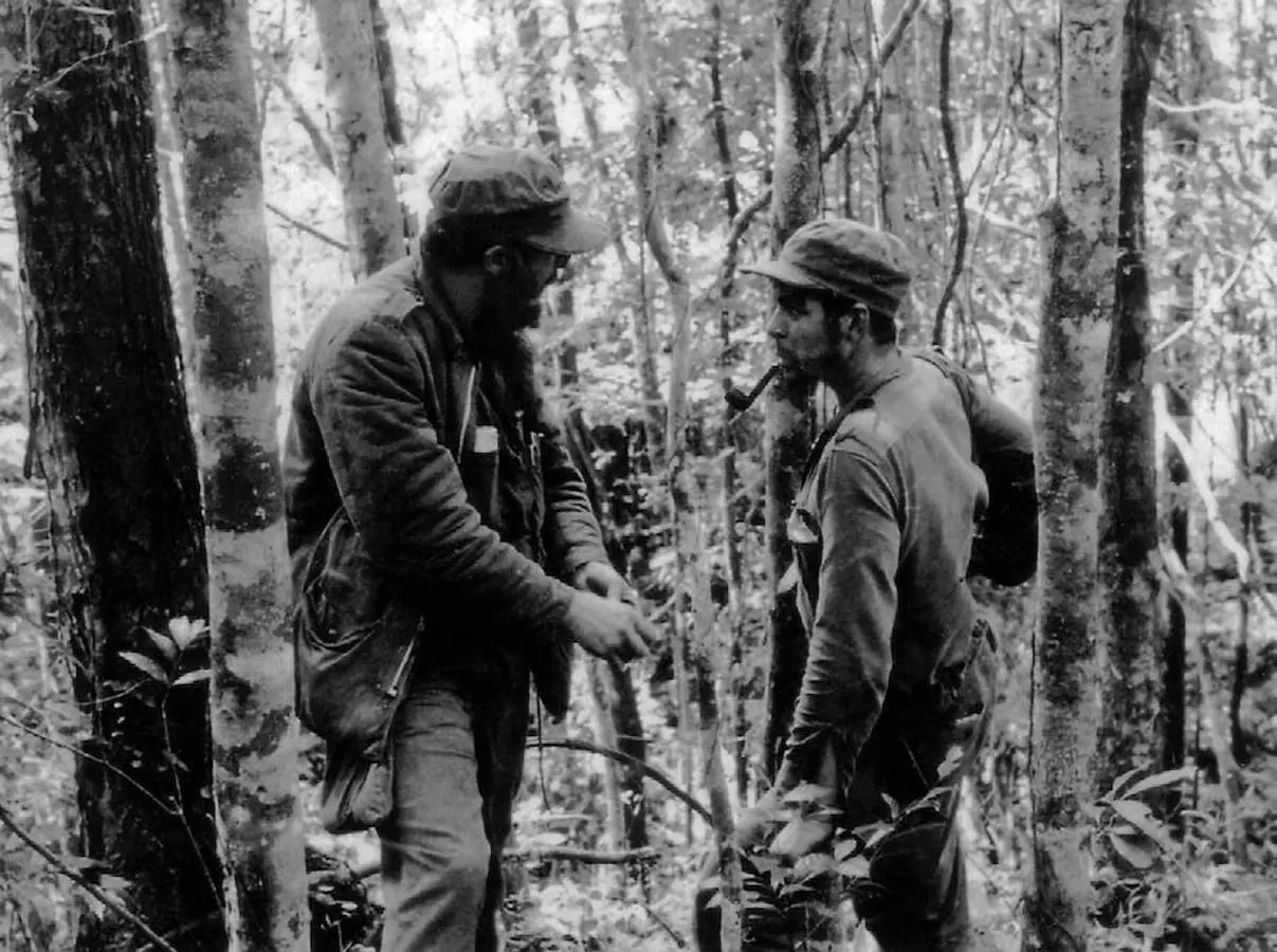 guerrilla guerrilla