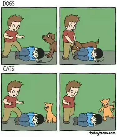 crap