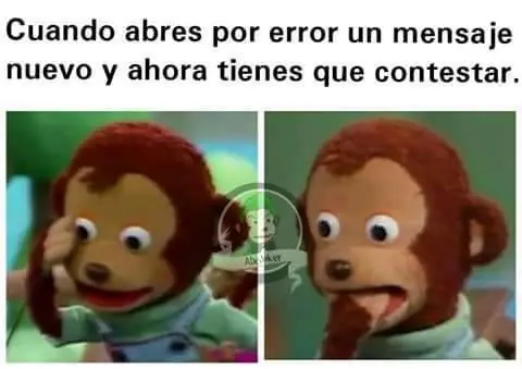 imagenes