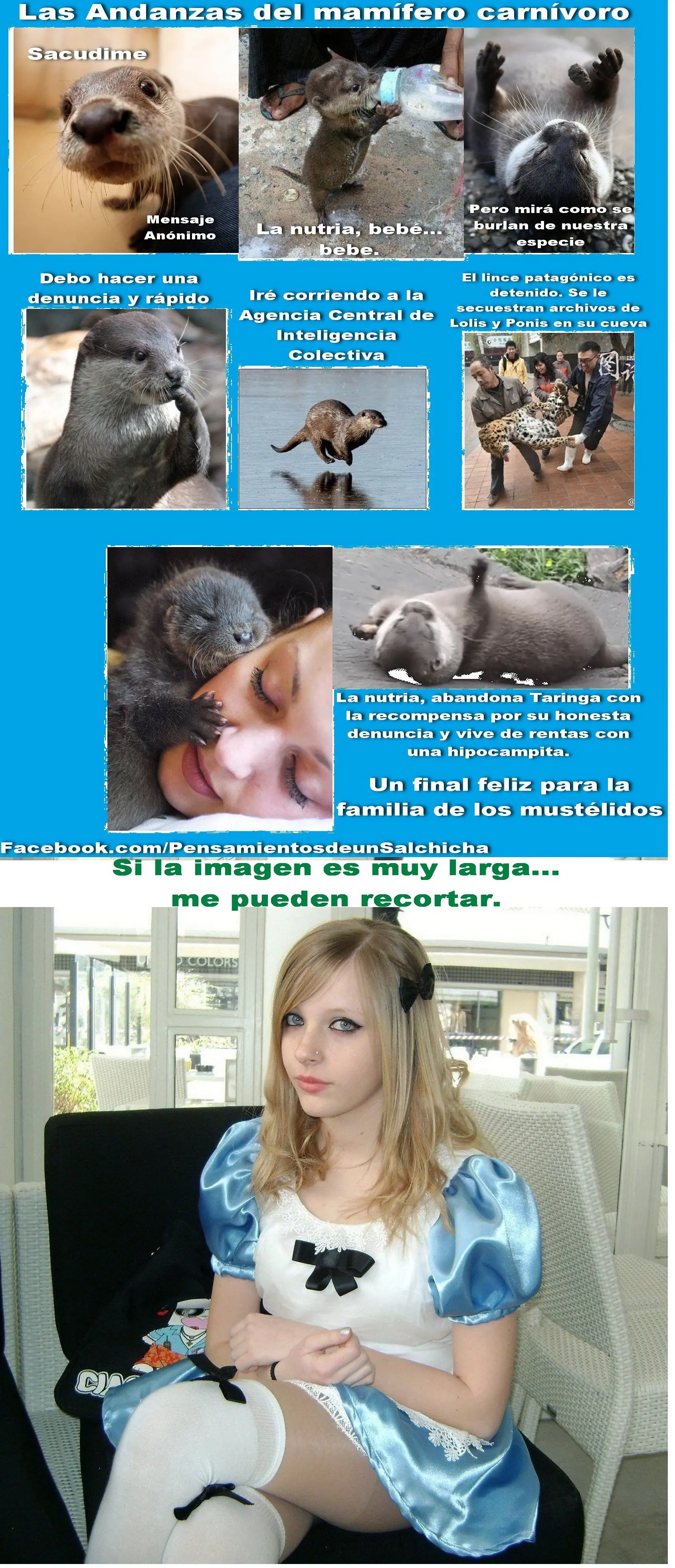 Perros Salchichas