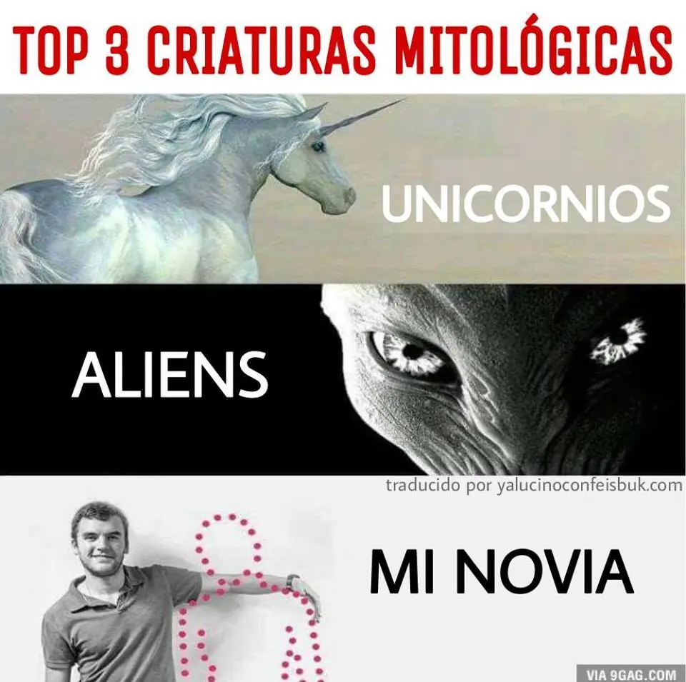 reite