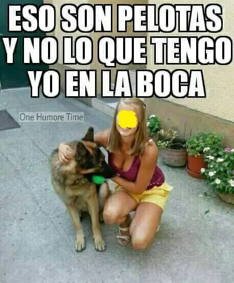 sino