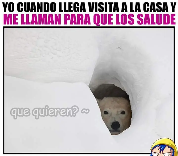 memes