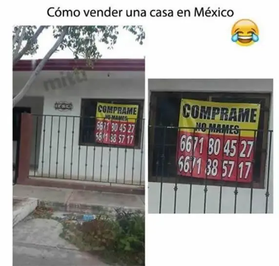Humor de Jueves 24/11/2016
