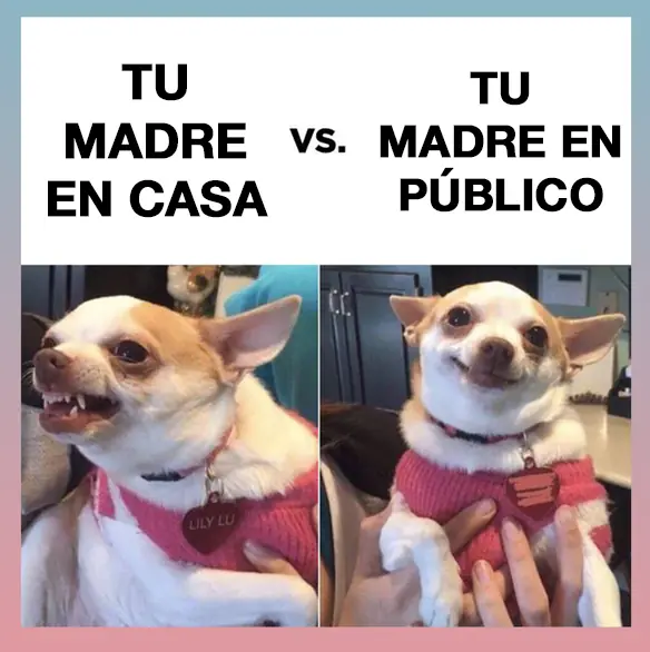 23 Verdades graciosas que nadie puede negar que son ciertas