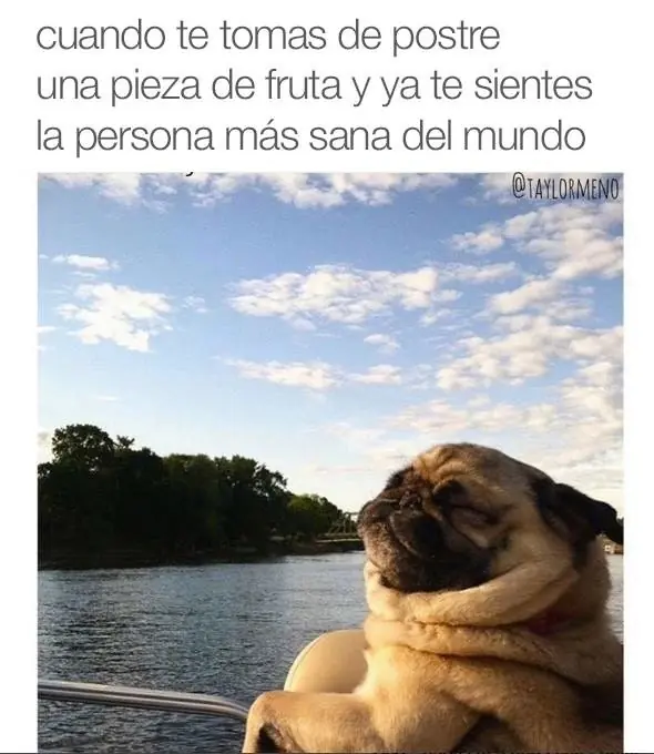 sigueme y te sigo