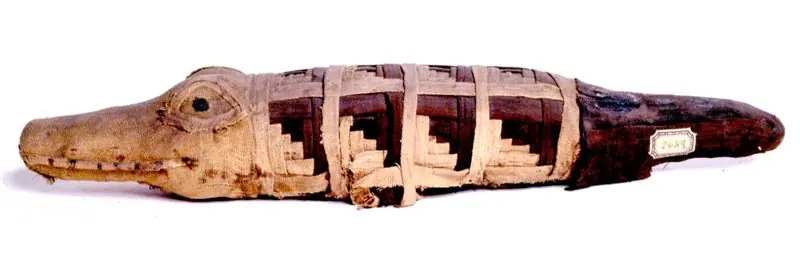 refugia