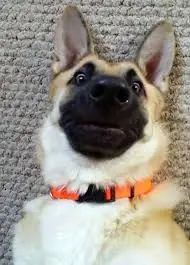 Humor perruno para este viernes [80 imagenes]