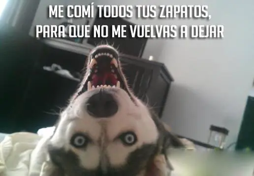 imagenes