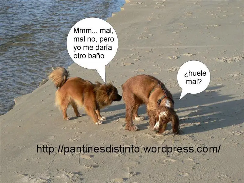 humor
