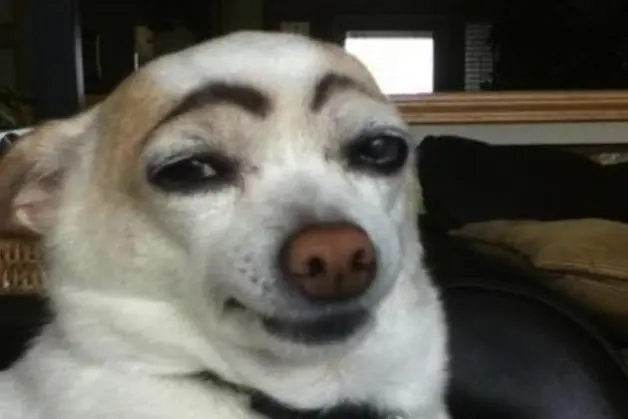 perruno