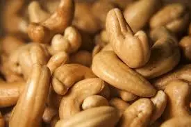 Cuerpo Sano Cuerpo Sano