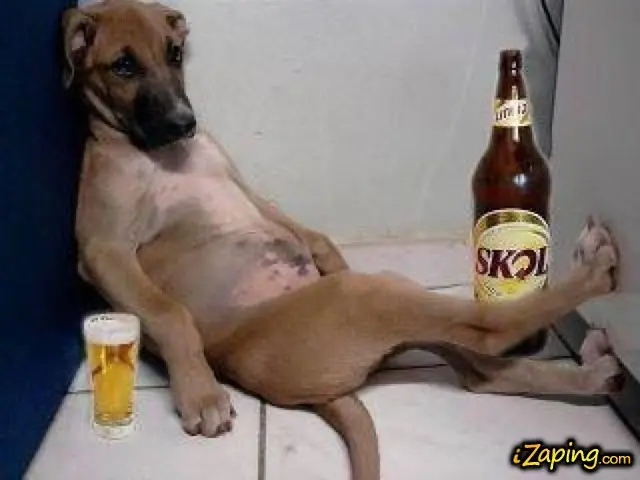 perruno