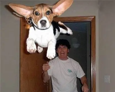 Humor perruno para este viernes [80 imagenes]