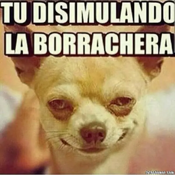 humor