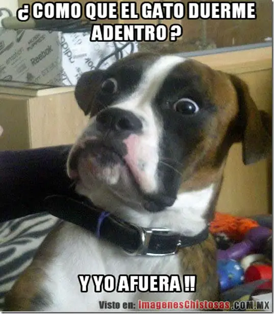 humor