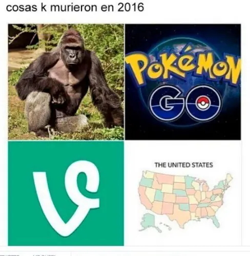 Humor mañanero 55