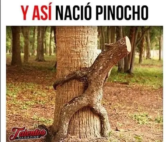 taringa