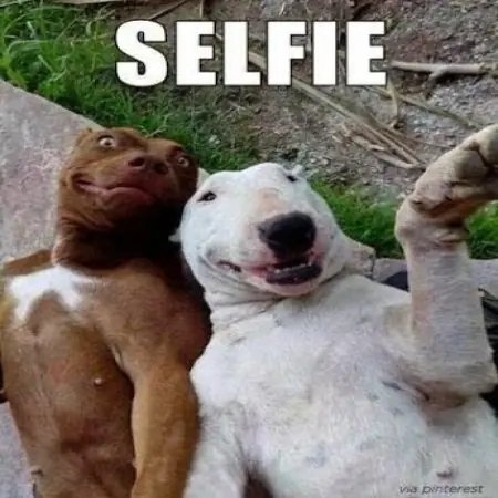 Humor perruno para este viernes [80 imagenes]
