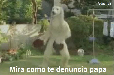 crack