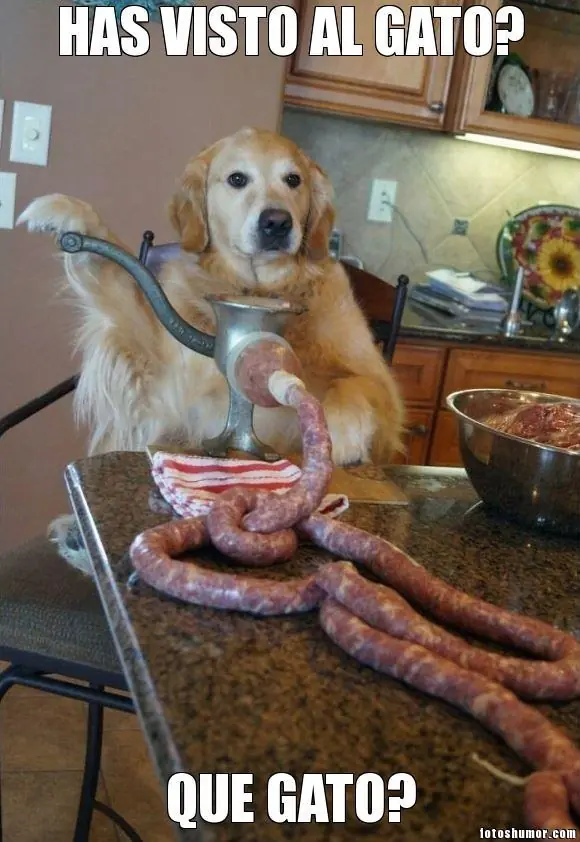 Humor perruno para este viernes [80 imagenes]
