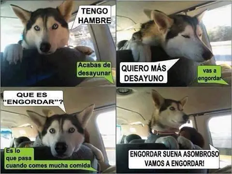 imagenes