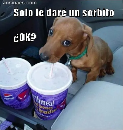 imagenes
