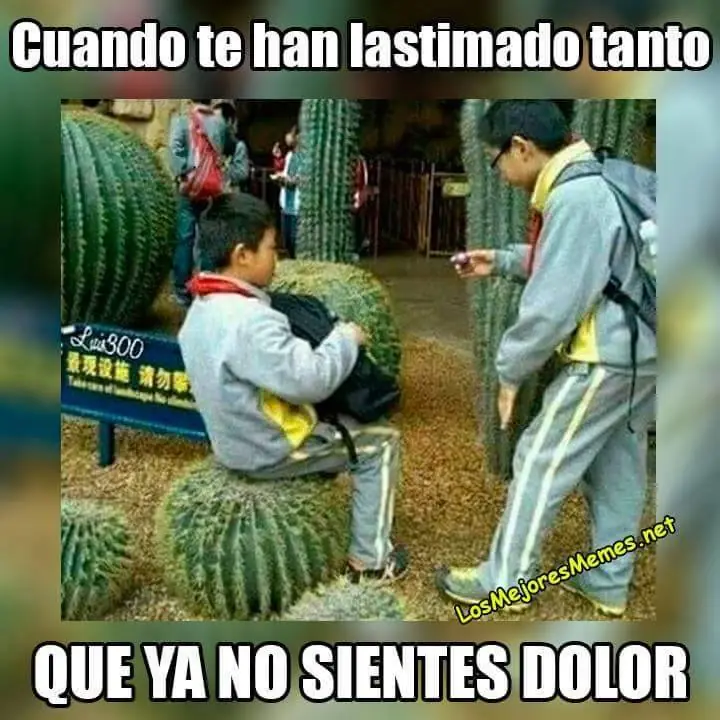 mirate